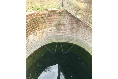 Terra a Arraiolos, Evora, Arraiolos - € 195.000 | Ref: LANE_5771 - foto 13