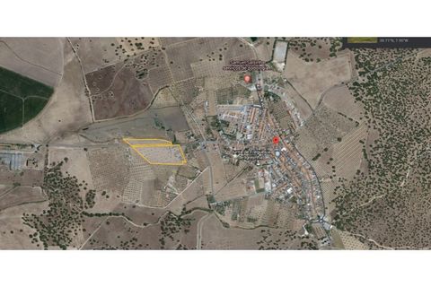 Terra a Arraiolos, Evora, Arraiolos - € 195.000 | Ref: LANE_5771 - foto 26