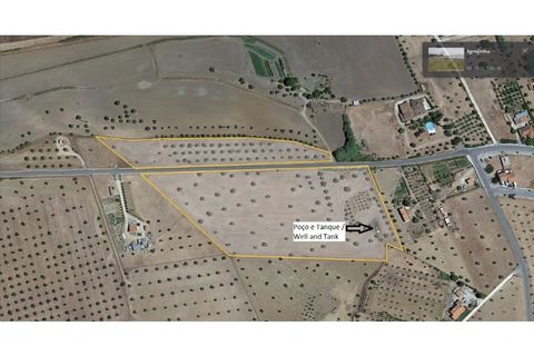 Terra a Arraiolos, Evora, Arraiolos - € 195.000 | Ref: LANE_5771 - foto 27