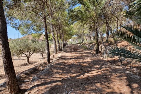 Landejendom i Monovar, Alicante, Monovar - € 370.000 | Ref: CF2412 - foto 3