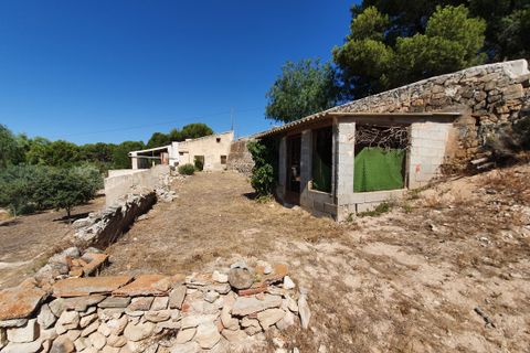 Landejendom i Monovar, Alicante, Monovar - € 370.000 | Ref: CF2412 - foto 6