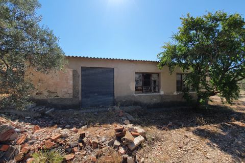 Landejendom i Monovar, Alicante, Monovar - € 370.000 | Ref: CF2412 - foto 11