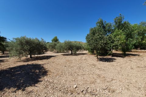Landejendom i Monovar, Alicante, Monovar - € 370.000 | Ref: CF2412 - foto 12