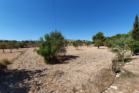 Landejendom i Monovar, Alicante, Monovar - € 370.000 | Ref: CF2412 - foto 13