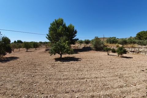 Landejendom i Monovar, Alicante, Monovar - € 370.000 | Ref: CF2412 - foto 14