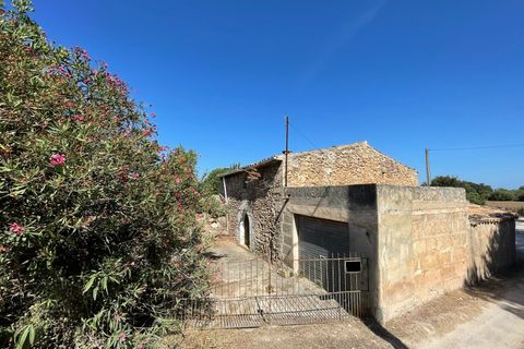 Finca i Pollenca, Mallorca, Pollenca - € 899.000 | Ref: 72173 - foto 2