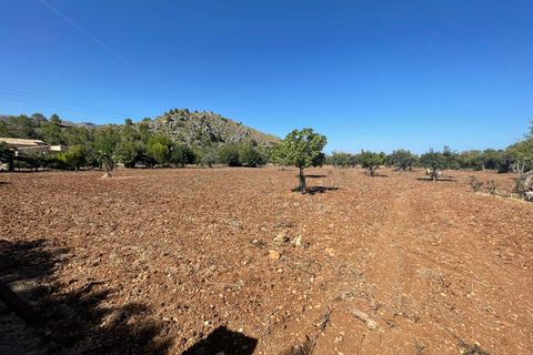 Finca i Pollenca, Mallorca, Pollenca - € 899.000 | Ref: 72173 - foto 17
