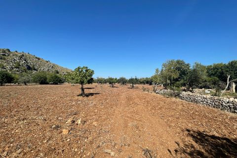 Finca i Pollenca, Mallorca, Pollenca - € 899.000 | Ref: 72173 - foto 18