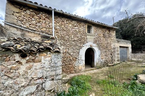 Finca i Pollenca, Mallorca, Pollenca - € 899.000 | Ref: 72173 - foto 13
