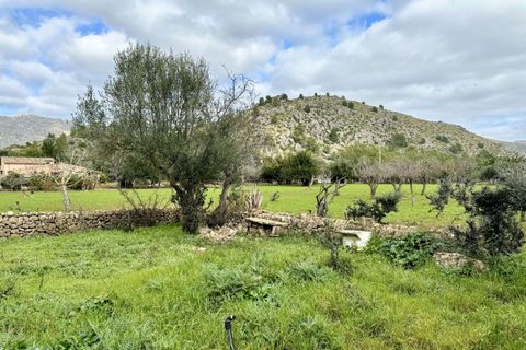 Finca i Pollenca, Mallorca, Pollenca - € 899.000 | Ref: 72173 - foto 16