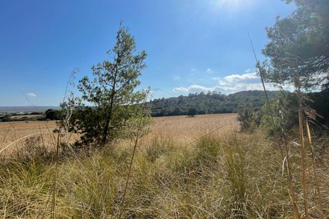 Terra a Alcudia, Mallorca, Alcudia - € 2.100.000 | Ref: 72190 - foto 2