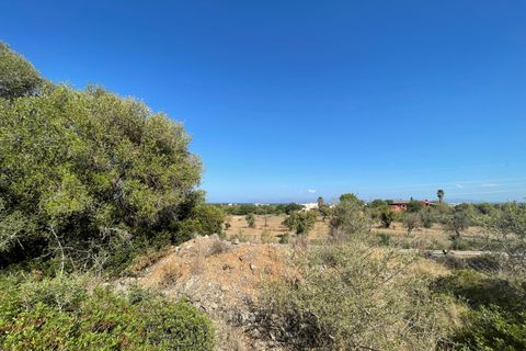 Terra a Alcudia, Mallorca, Alcudia - € 2.100.000 | Ref: 72190 - foto 5