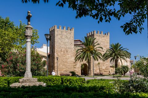 Terra a Alcudia, Mallorca, Alcudia - € 2.100.000 | Ref: 72190 - foto 7