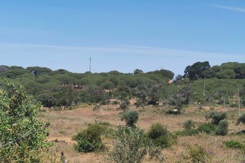 Helårsgrund i Lagoa, Faro, Lagoa - € 2.800.000 | Ref: 114 - foto 2