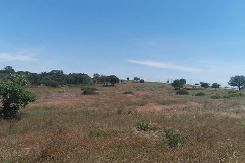 Helårsgrund i Lagoa, Faro, Lagoa - € 2.800.000 | Ref: 114 - foto 3