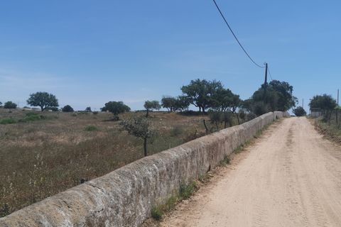 Helårsgrund i Lagoa, Faro, Lagoa - € 2.800.000 | Ref: 114 - foto 4