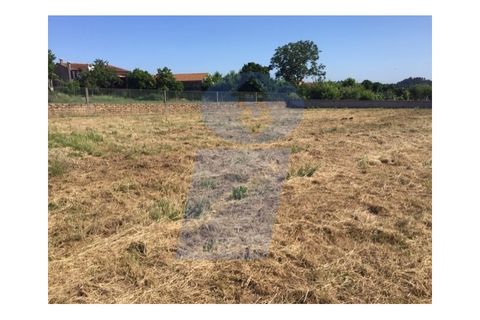 Helårsgrund i Anadia, Aveiro, Anadia - € 40.000 | Ref: TER_751 - foto 3