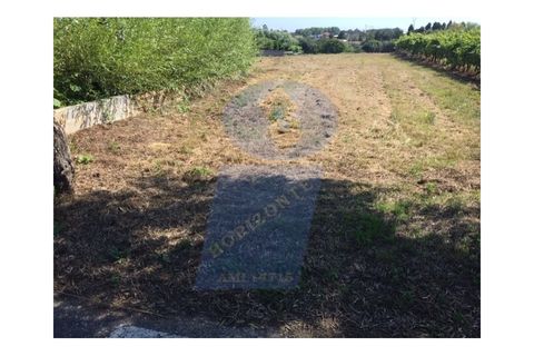Helårsgrund i Anadia, Aveiro, Anadia - € 40.000 | Ref: TER_751 - foto 4