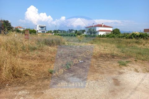 Helårsgrund i Agueda, Aveiro, Agueda - € 41.000 | Ref: TER_746A - foto 2