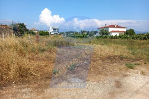Helårsgrund i Agueda, Aveiro, Agueda - € 41.000 | Ref: TER_746B - foto 2