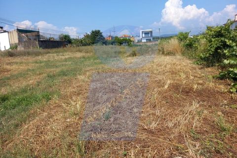Helårsgrund i Agueda, Aveiro, Agueda - € 41.000 | Ref: TER_746B - foto 4
