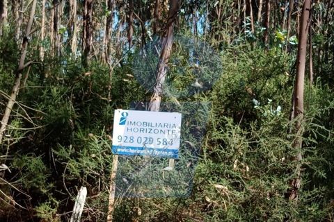 Helårsgrund i Agueda, Aveiro, Agueda - € 25.000 | Ref: TER_748 - foto 2