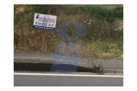Helårsgrund i Anadia, Aveiro, Anadia - € 55.000 | Ref: TER_711 - foto 2