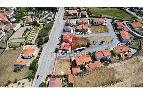 Terra a Meda, Guarda, Meda - € 31.000 | Ref: 341/MDA - foto 5