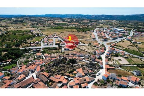 Terra a Meda, Guarda, Meda - € 31.000 | Ref: 341/MDA - foto 7