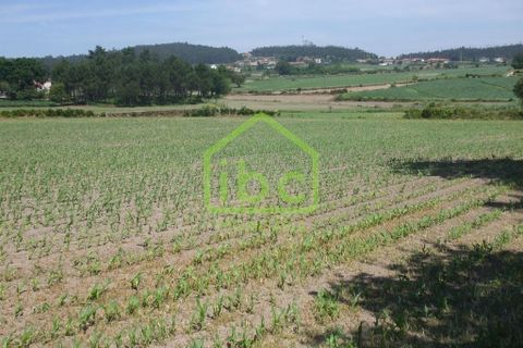 Helårsgrund i Vila do Conde, Porto, Vila do Conde - € 150.000 | Ref: 101-221 - foto 2