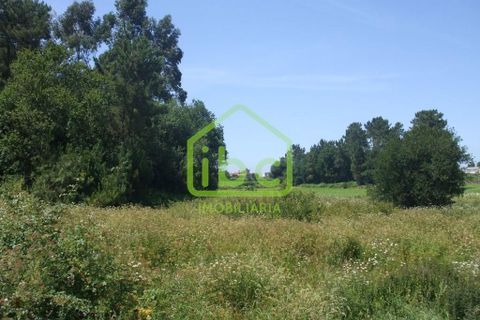 Helårsgrund i Vila do Conde, Porto, Vila do Conde - € 150.000 | Ref: 101-221 - foto 3
