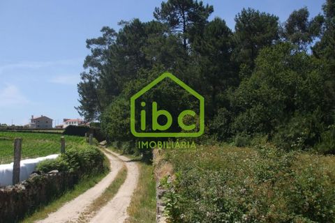 Helårsgrund i Vila do Conde, Porto, Vila do Conde - € 150.000 | Ref: 101-221 - foto 6