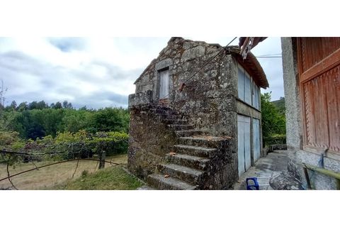 Farm i Fafe, Braga, Fafe - € 380.000 | Ref: Q5033 - foto 13