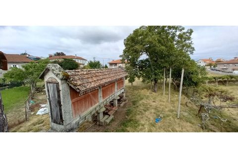 Farm i Fafe, Braga, Fafe - € 380.000 | Ref: Q5033 - foto 14