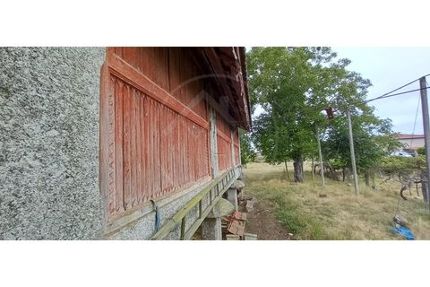 Farm i Fafe, Braga, Fafe - € 380.000 | Ref: Q5033 - foto 15