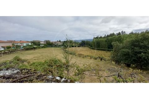 Farm i Fafe, Braga, Fafe - € 380.000 | Ref: Q5033 - foto 17