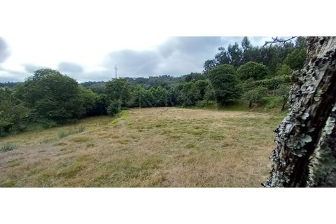 Farm i Fafe, Braga, Fafe - € 380.000 | Ref: Q5033 - foto 18