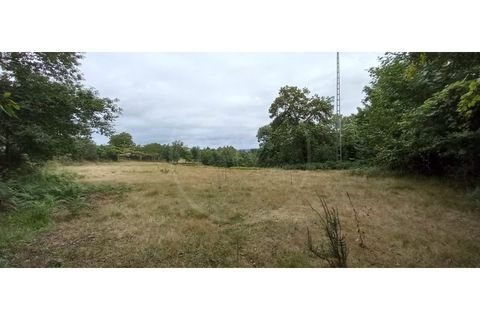 Farm i Fafe, Braga, Fafe - € 380.000 | Ref: Q5033 - foto 19