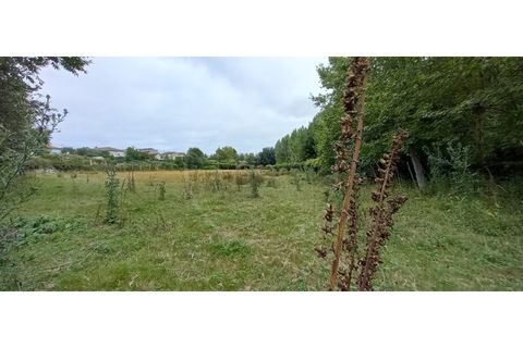 Farm i Fafe, Braga, Fafe - € 380.000 | Ref: Q5033 - foto 20