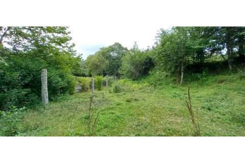 Farm i Fafe, Braga, Fafe - € 380.000 | Ref: Q5033 - foto 22