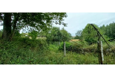 Farm i Fafe, Braga, Fafe - € 380.000 | Ref: Q5033 - foto 23