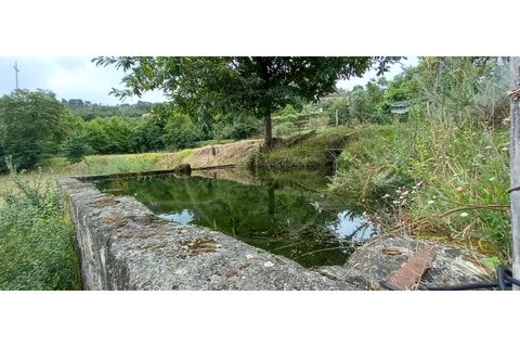 Farm i Fafe, Braga, Fafe - € 380.000 | Ref: Q5033 - foto 25