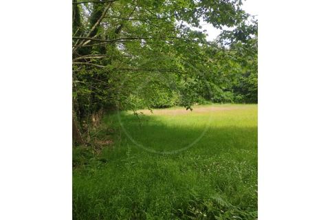 Farm i Fafe, Braga, Fafe - € 380.000 | Ref: Q5033 - foto 26