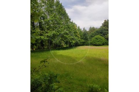 Farm i Fafe, Braga, Fafe - € 380.000 | Ref: Q5033 - foto 27