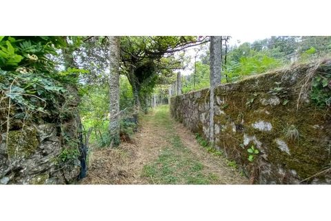 Farm i Fafe, Braga, Fafe - € 380.000 | Ref: Q5033 - foto 28