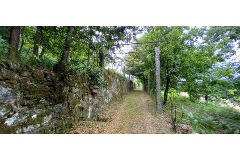 Farm i Fafe, Braga, Fafe - € 380.000 | Ref: Q5033 - foto 29
