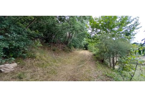 Farm i Fafe, Braga, Fafe - € 380.000 | Ref: Q5033 - foto 30