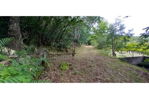 Farm i Fafe, Braga, Fafe - € 380.000 | Ref: Q5033 - foto 31