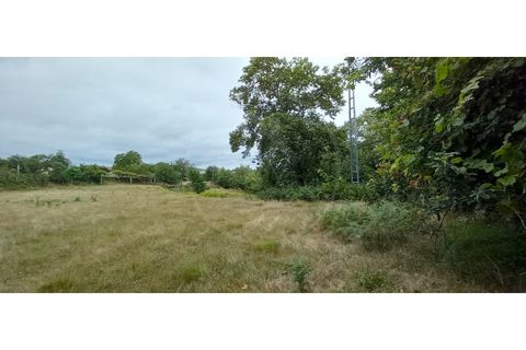 Farm i Fafe, Braga, Fafe - € 380.000 | Ref: Q5033 - foto 33