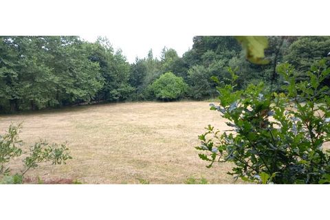 Farm i Fafe, Braga, Fafe - € 380.000 | Ref: Q5033 - foto 34